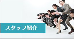 スタッフ紹介